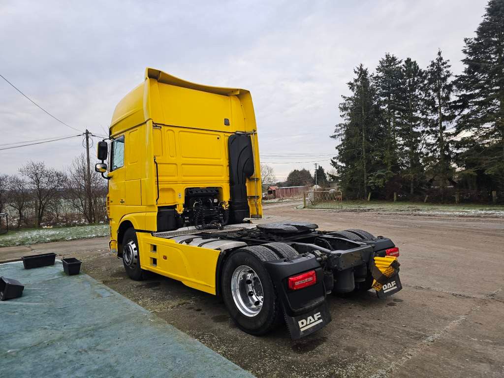 Fahrzeugabbildung DAF XF 480 SSC Kipphydr., Intarder, Alufelgen