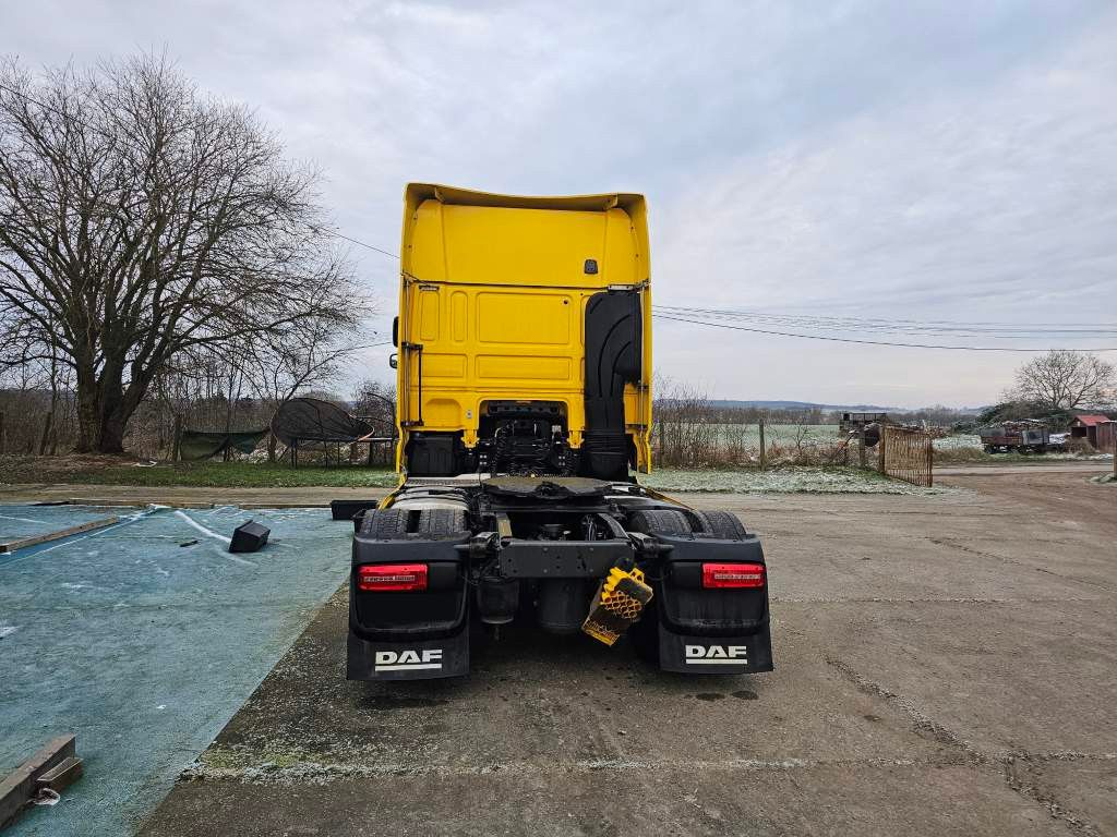 Fahrzeugabbildung DAF XF 480 SSC Kipphydr., Intarder, Alufelgen