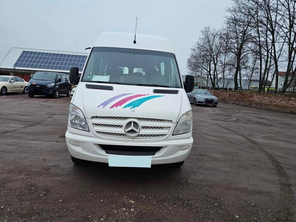 Fahrzeugabbildung Mercedes-Benz Transfer 45, Sprinter 516 CDI, hydr. Tür, 16+1